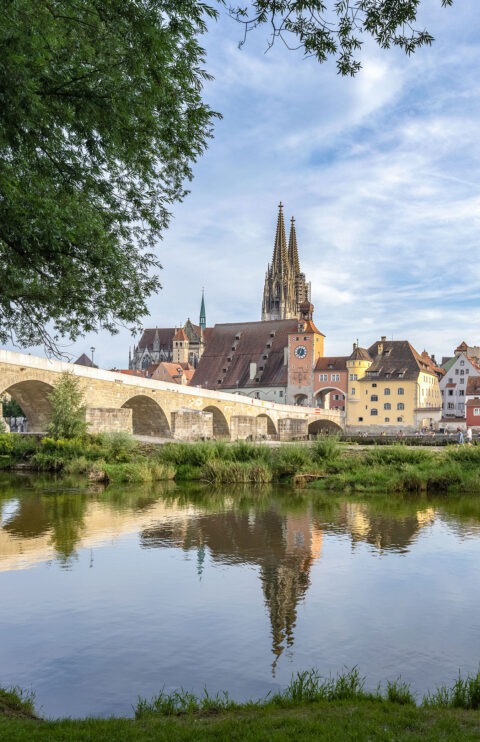 Regensburg Donau Donkeys